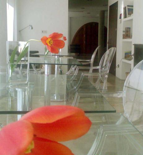 Hotel El Patiaz De La Reina Rana Tauste Bagian luar foto
