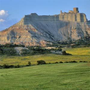 Hotel El Patiaz De La Reina Rana Tauste Bagian luar foto